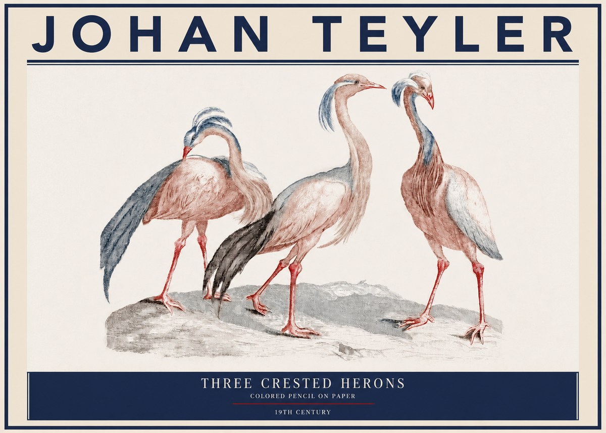 Johan Teyler Three Crested Herons No3 - Plakát