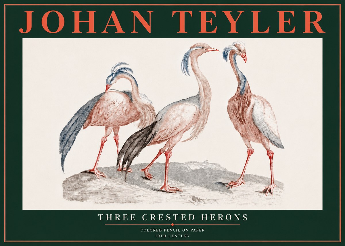 Johan Teyler Three Crested Herons No5 - Plakát
