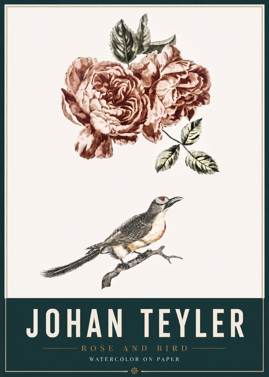 Johan Teyler Rose and Bird II No3 - Plakát