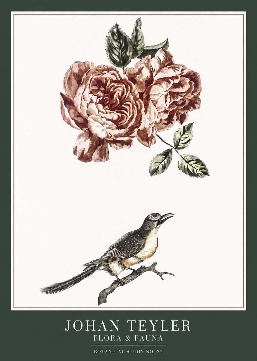 Johan Teyler Rose and Bird II No6 - Plakát