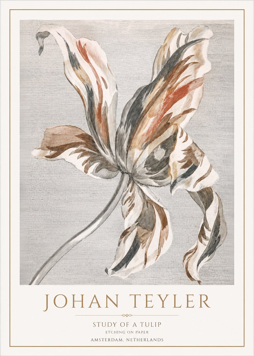 Johan Teyler Study of a Tulip No1 - Plakát