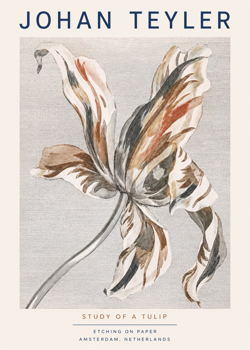 Johan Teyler Study of a Tulip No3 - Plakát