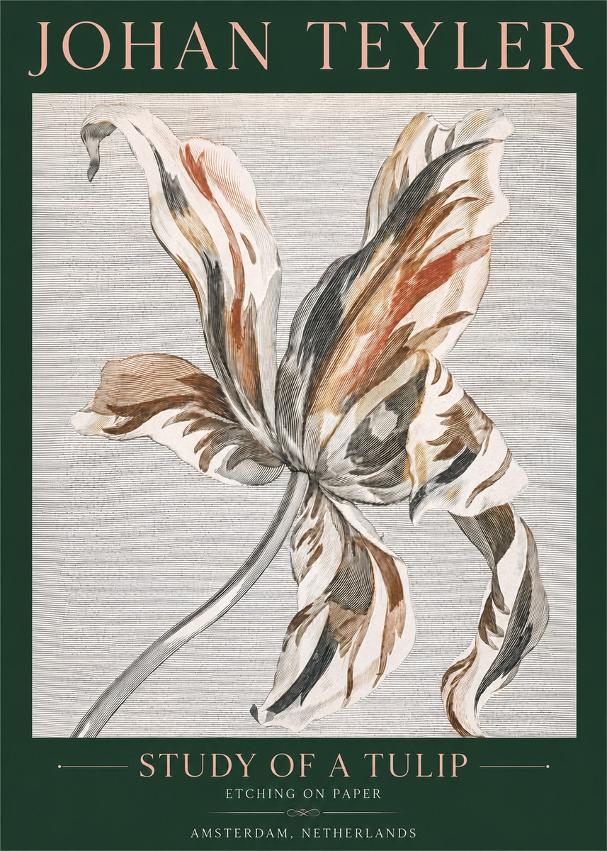 Johan Teyler Study of a Tulip No4 - Plakát
