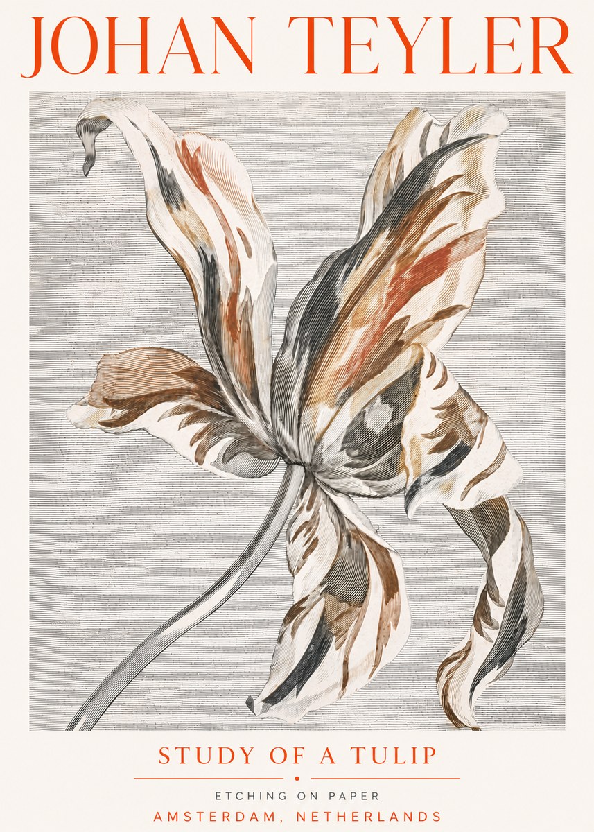 Johan Teyler Study of a Tulip No5 - Plakát