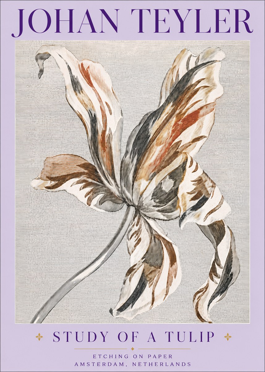 Johan Teyler Study of a Tulip No6 - Plakát