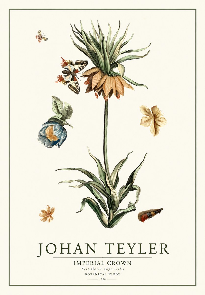 Johan Teyler Crown Imperial No2 - Plakát