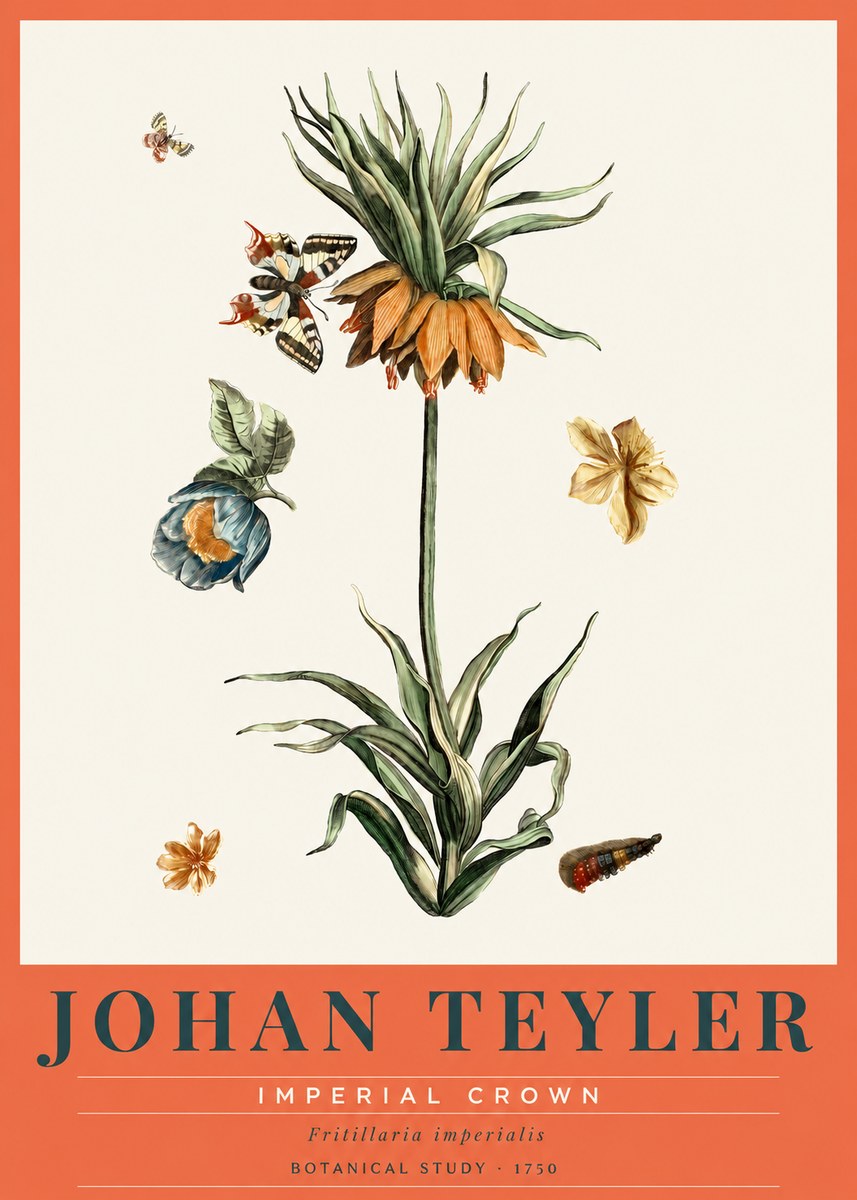 Johan Teyler Crown Imperial No3 - Plakát