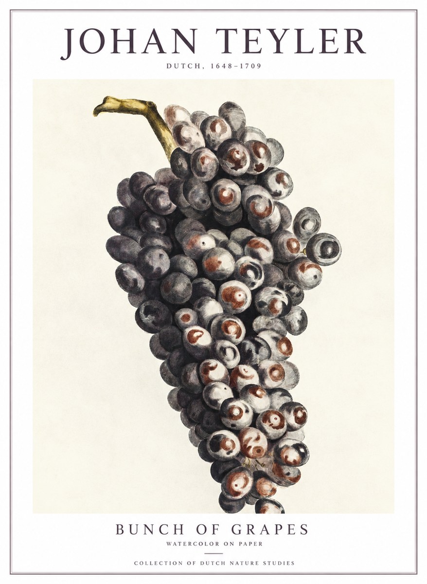 Johan Teyler Bunch of Grapes No1 - Plakát