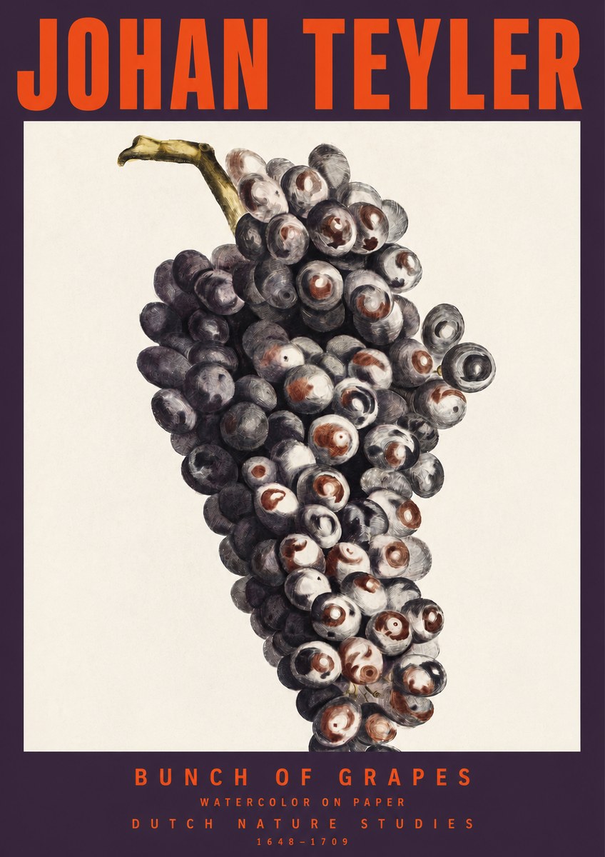 Johan Teyler Bunch of Grapes No2 - Plakát