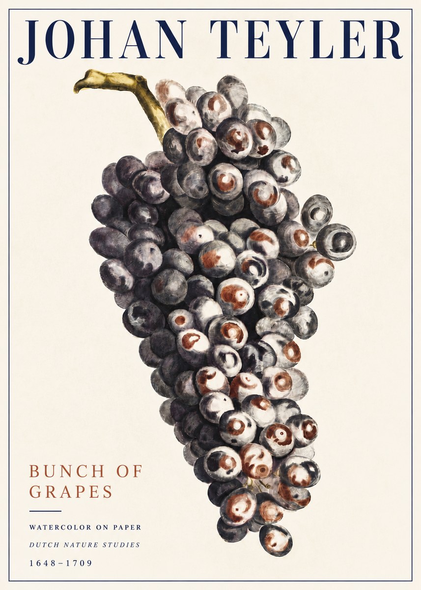 Johan Teyler Bunch of Grapes No5 - Plakát
