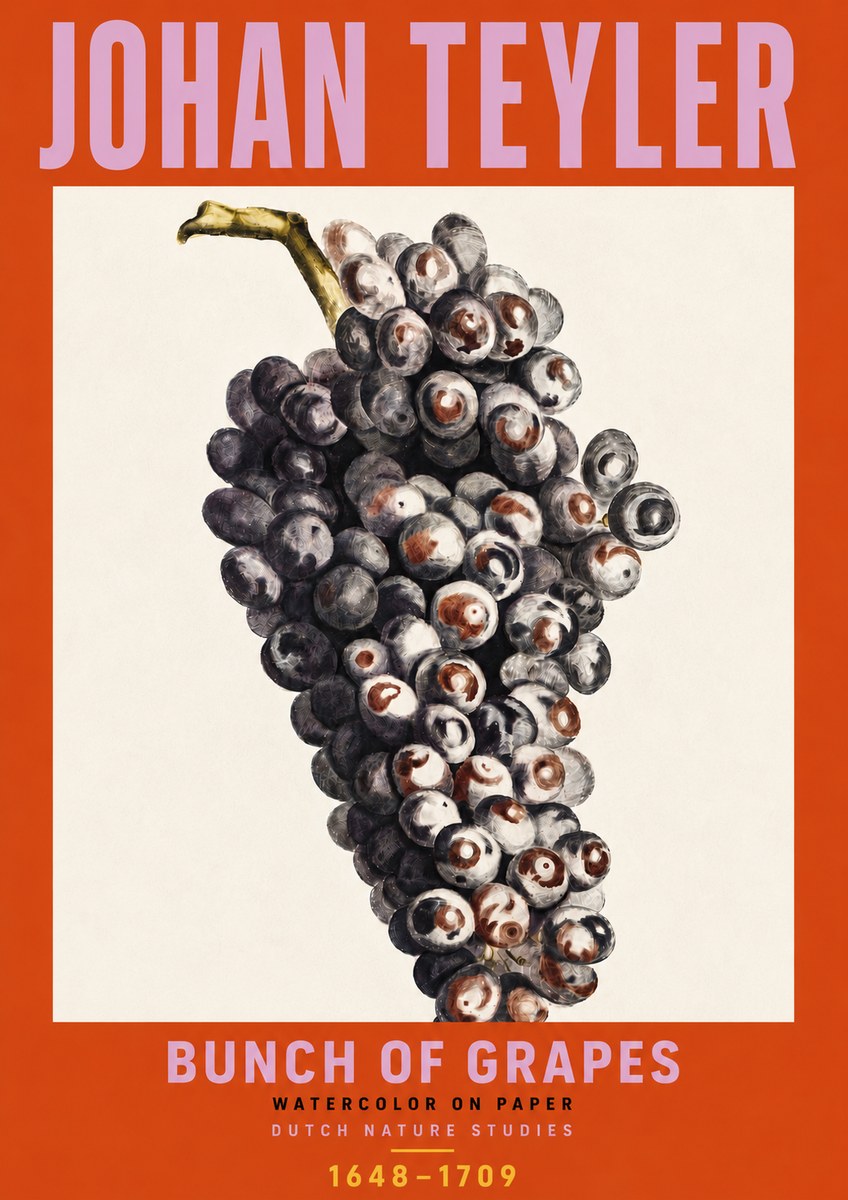 Johan Teyler Bunch of Grapes No6 - Plakát