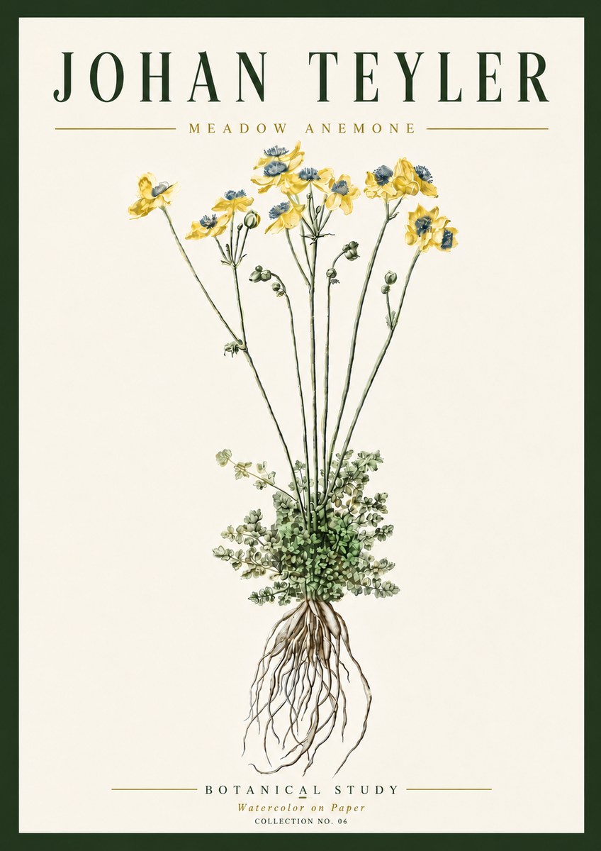 Johan Teyler Meadow Anemone No6 - Plakát