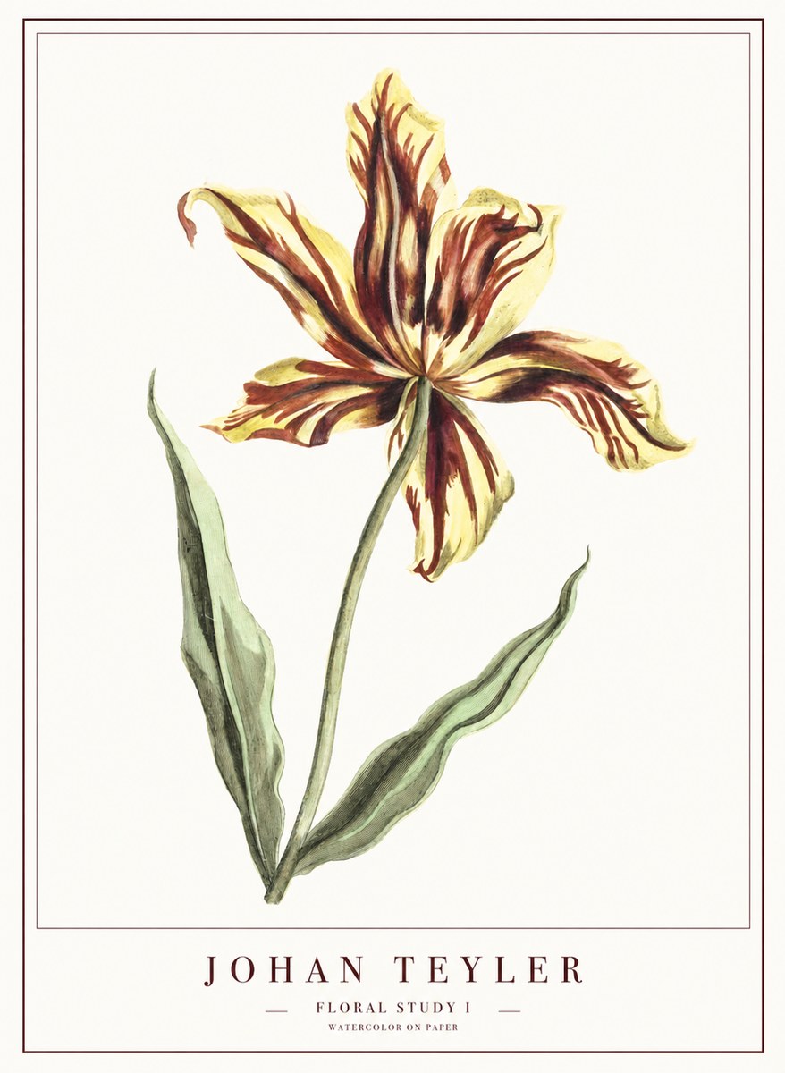 Johan Teyler Floral Study I No1 - Plakát