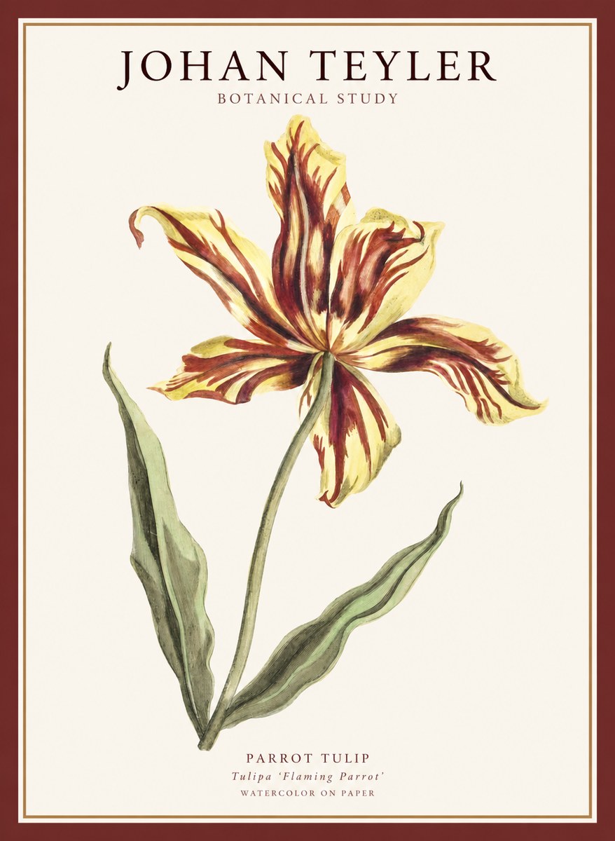 Johan Teyler Floral Study I No5 - Plakát