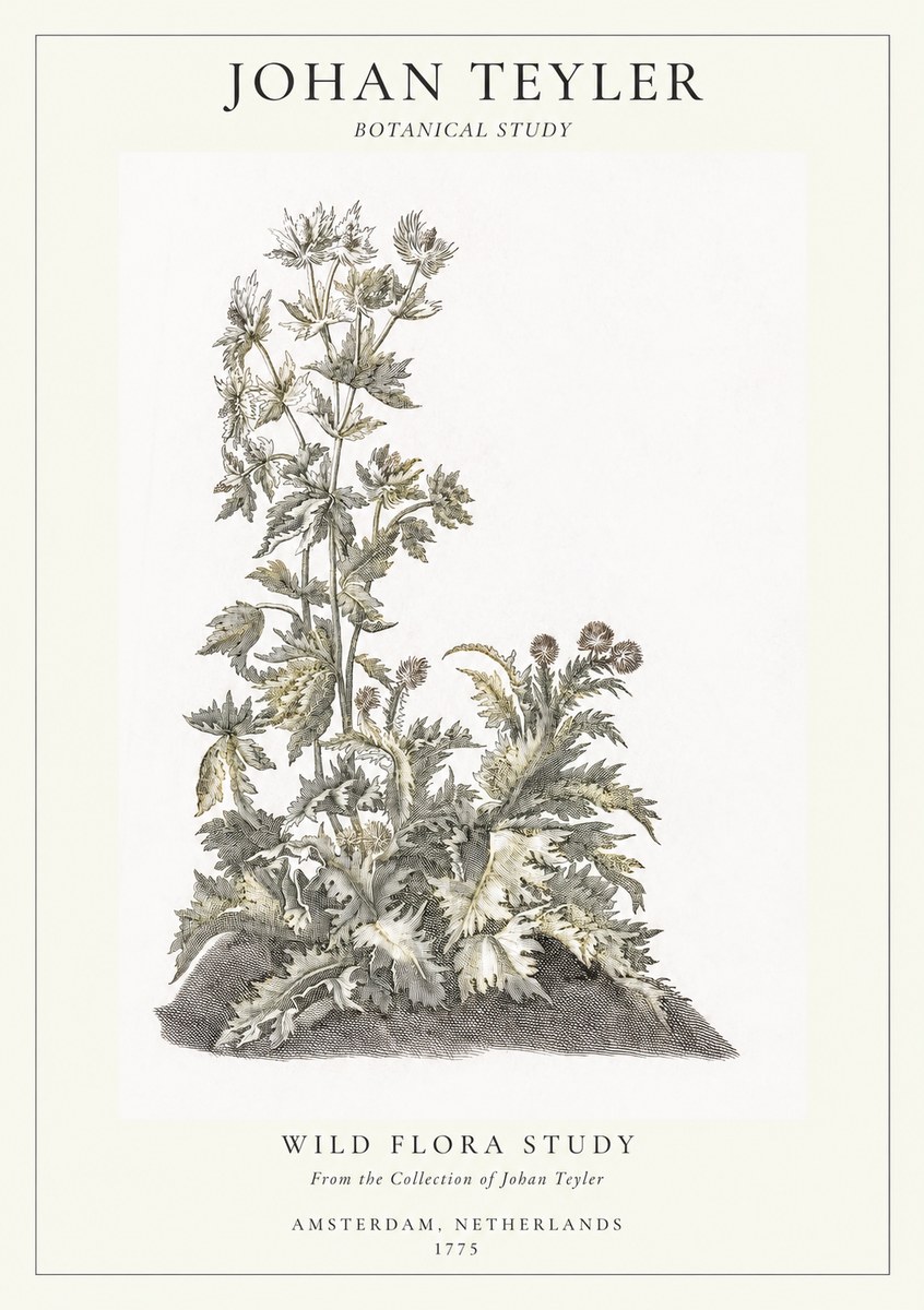 Johan Teyler Wild Flora Study No1 - Plakát