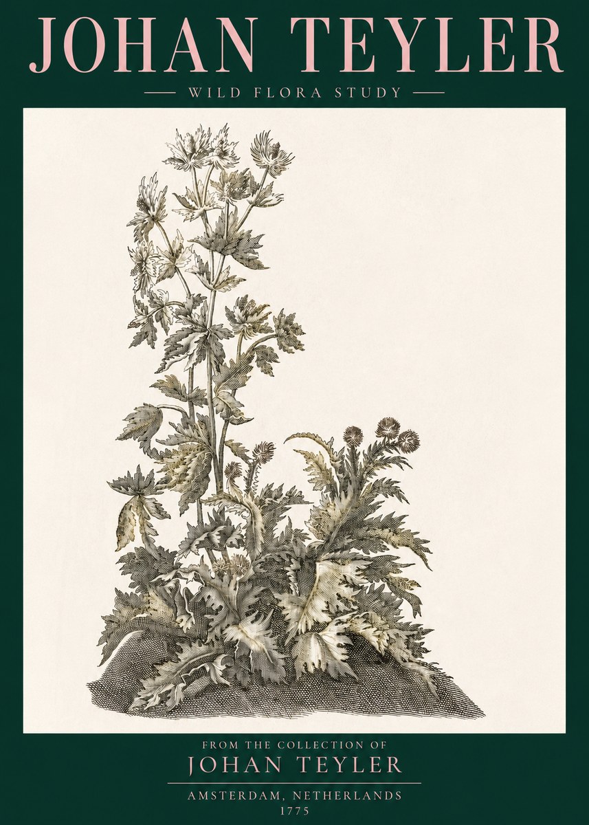 Johan Teyler Wild Flora Study No3 - Plakát