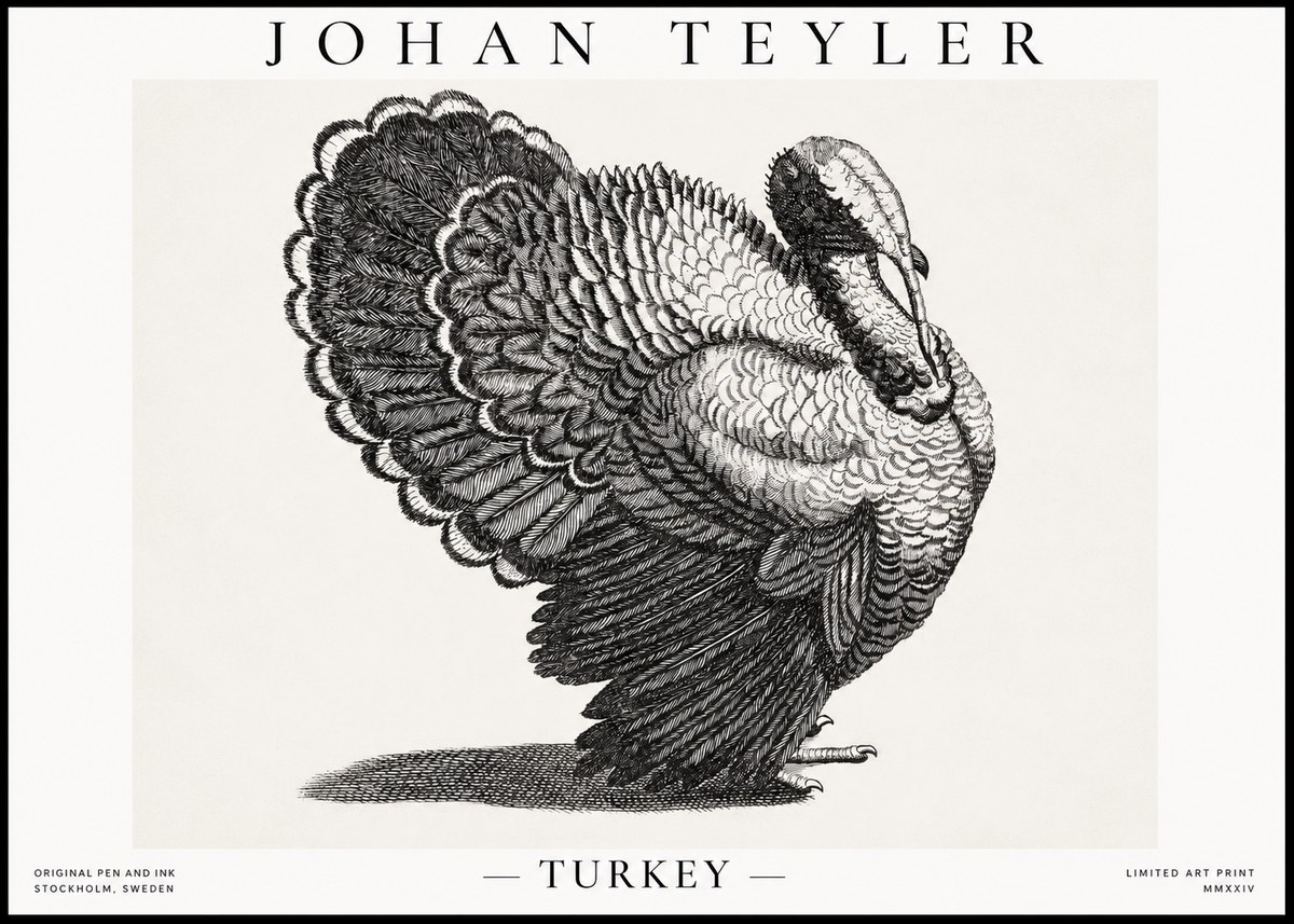 Johan Teyler Turkey No1 - Plakát