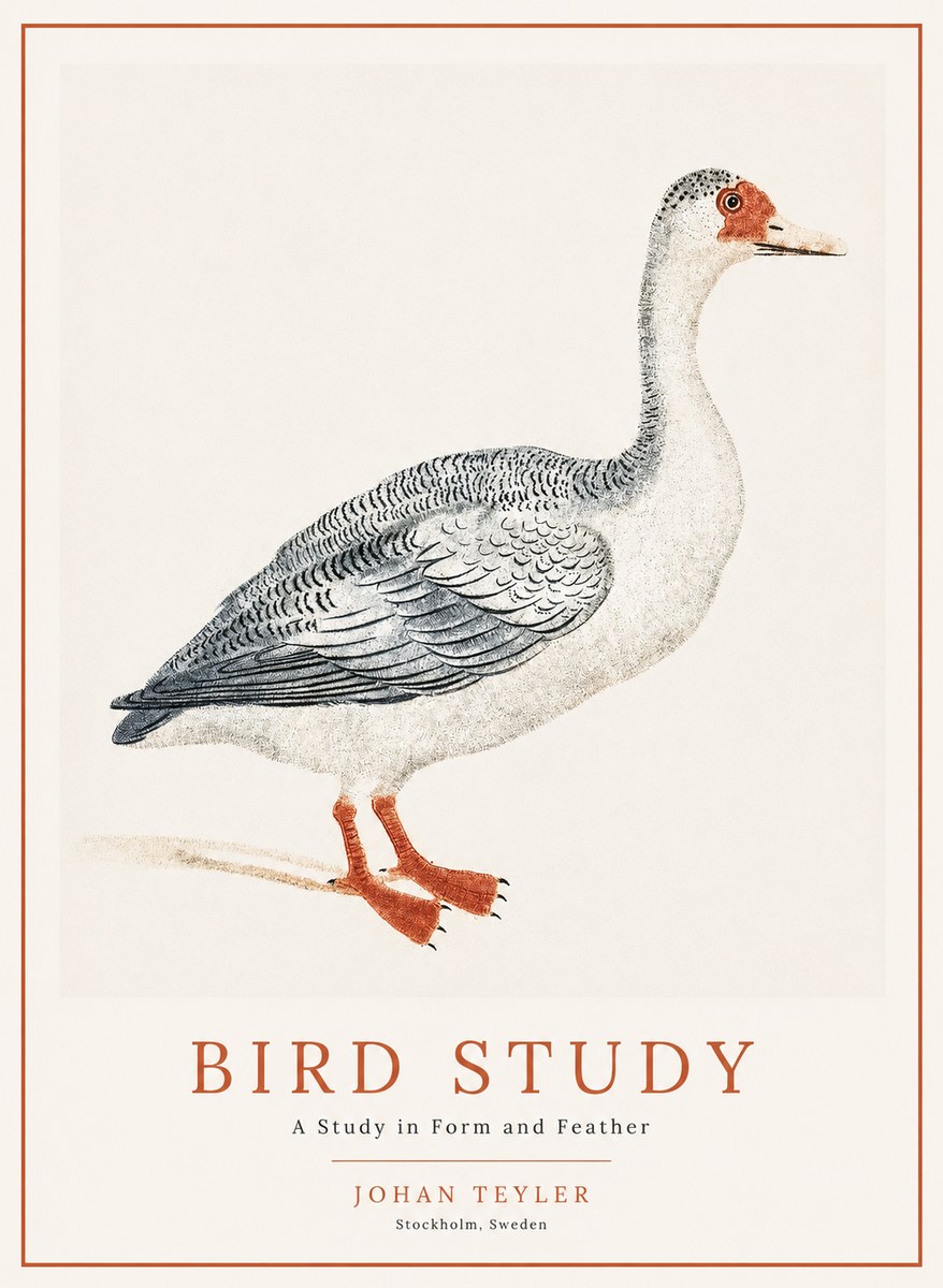 Johan Teyler Goose Study No2 - Plakát