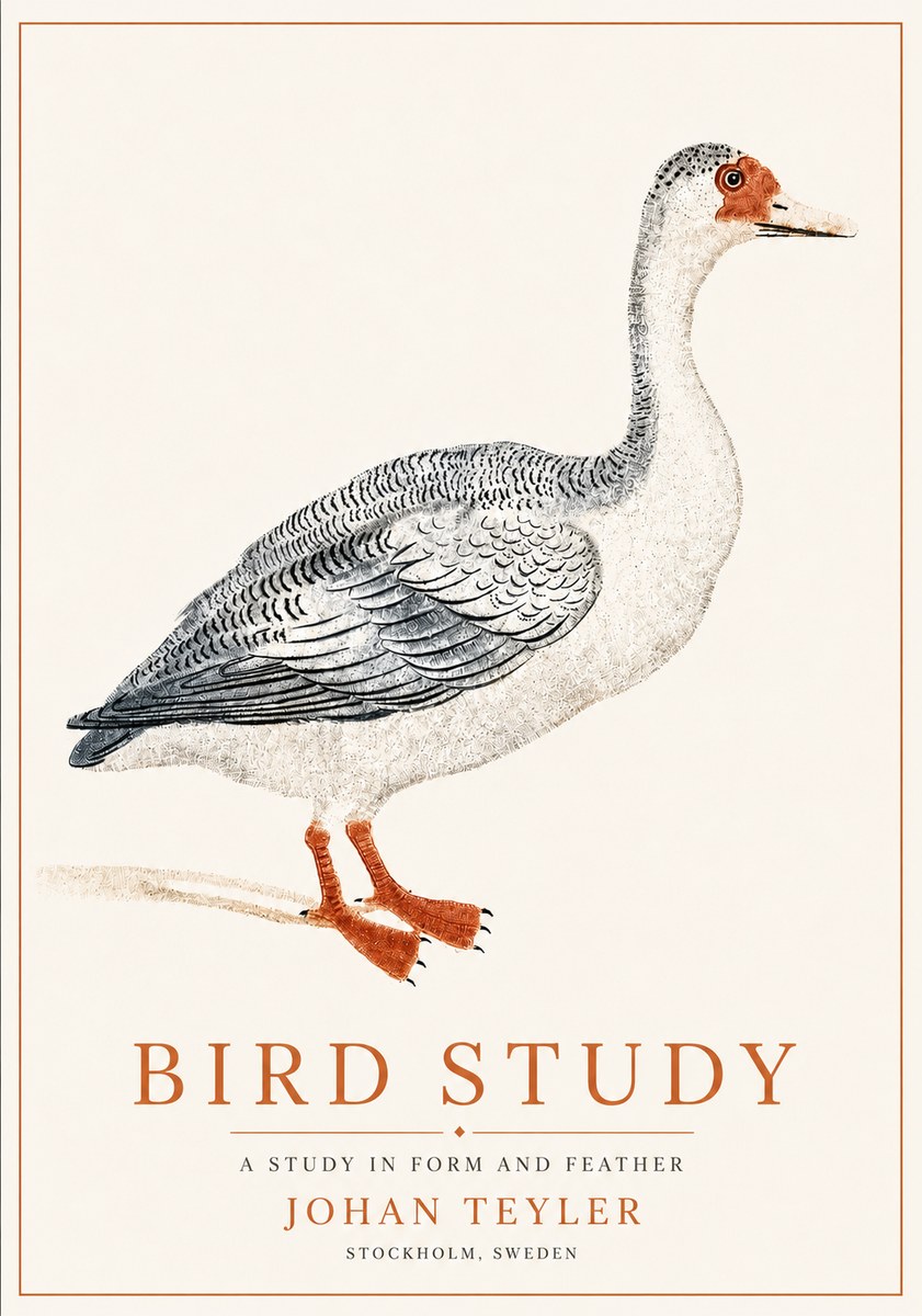 Johan Teyler Goose Study No6 - Plakát