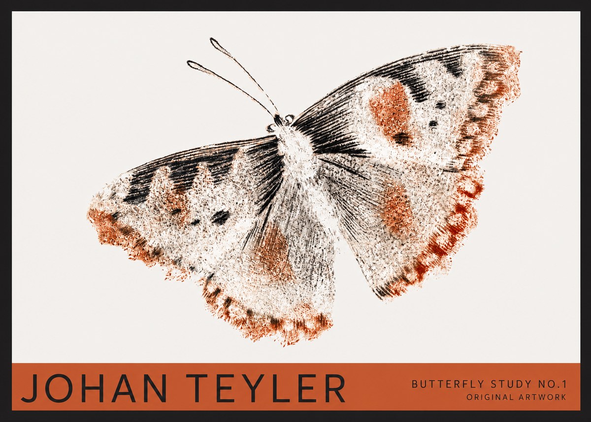 Johan Teyler Butterfly Study No.1 No2 - Plakát