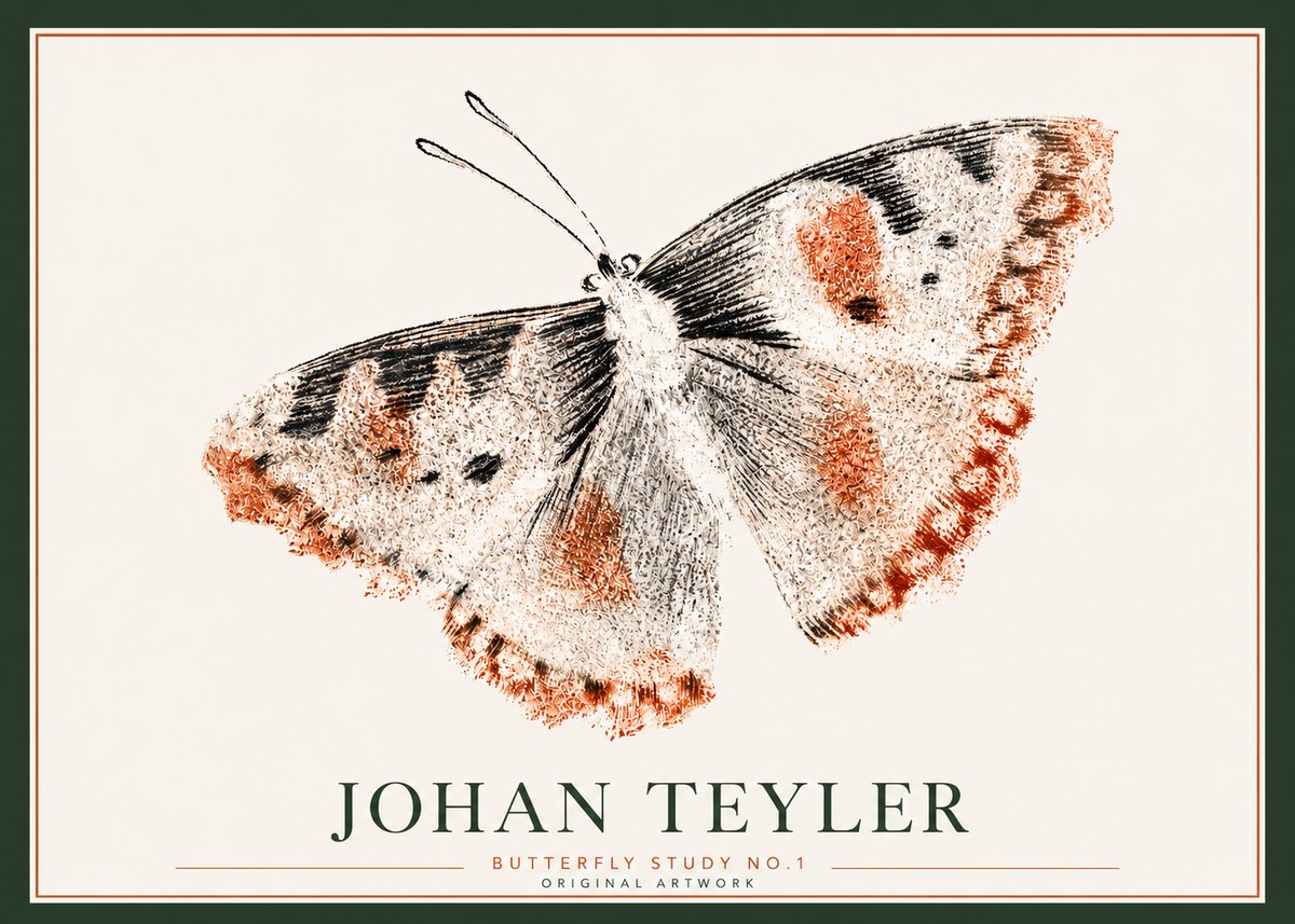 Johan Teyler Butterfly Study No.1 No3 - Plakát