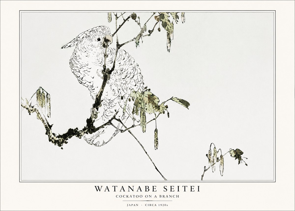 Watanabe Seitei Cockatoo on a Branch No1 - Plakát
