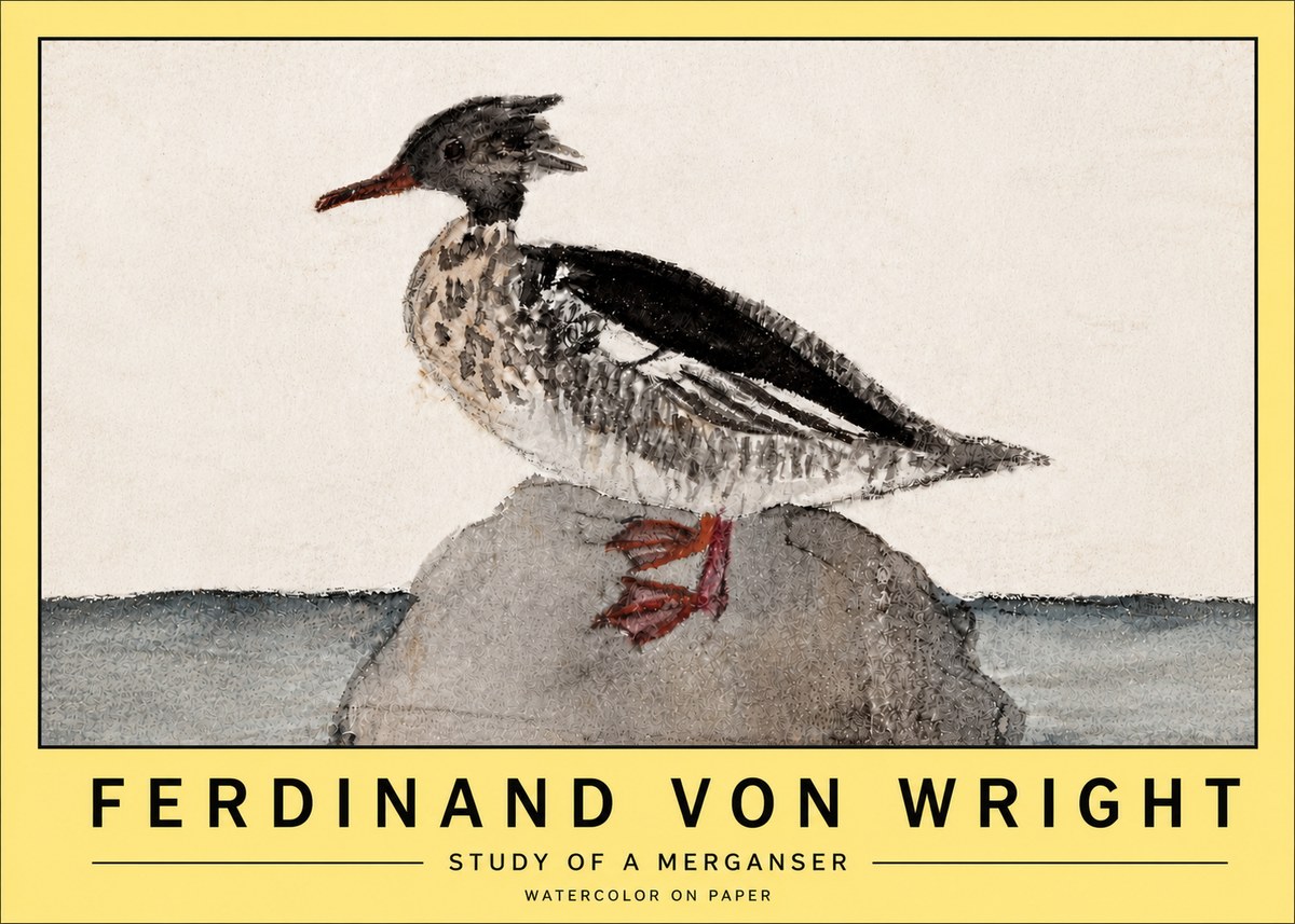 Ferdinand von Wright Study of a Merganser No5 - Plakát