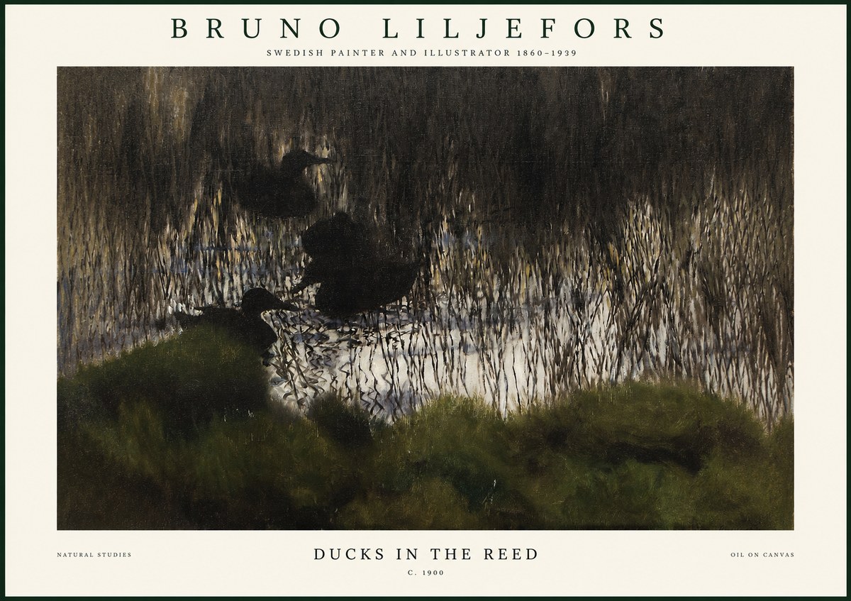Bruno Liljefors Ducks in the Reed No1 - Plakát