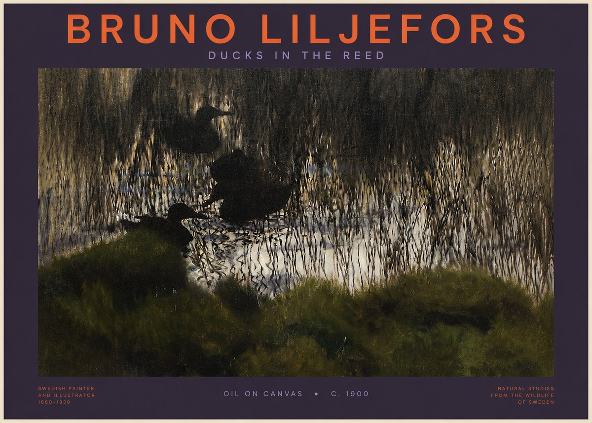 Bruno Liljefors Ducks in the Reed No2 - Plakát