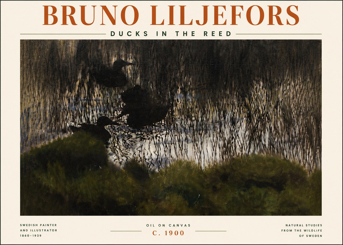 Bruno Liljefors Ducks in the Reed No5 - Plakát