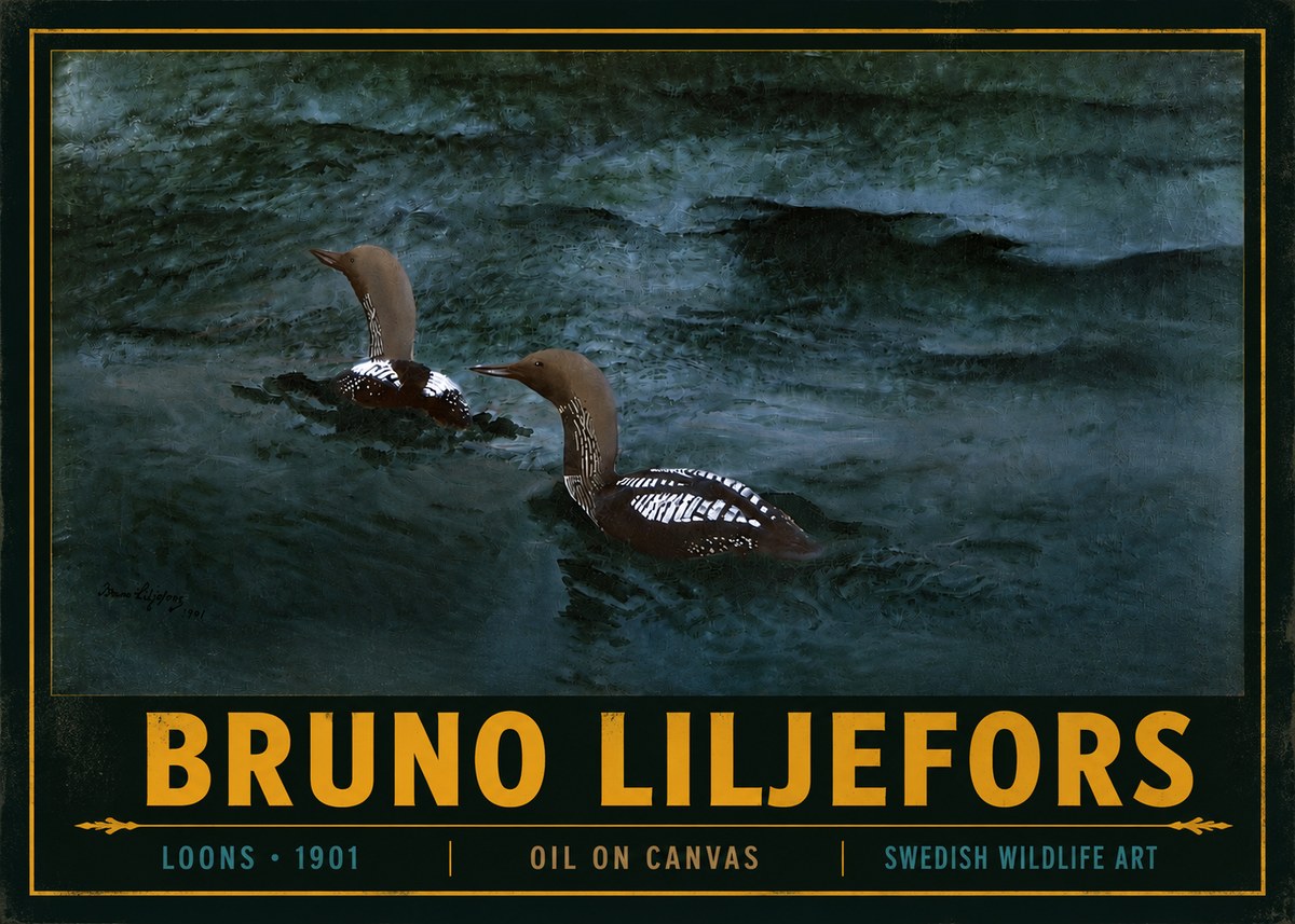 Bruno Liljefors Loons · 1901 No4 - Plakát