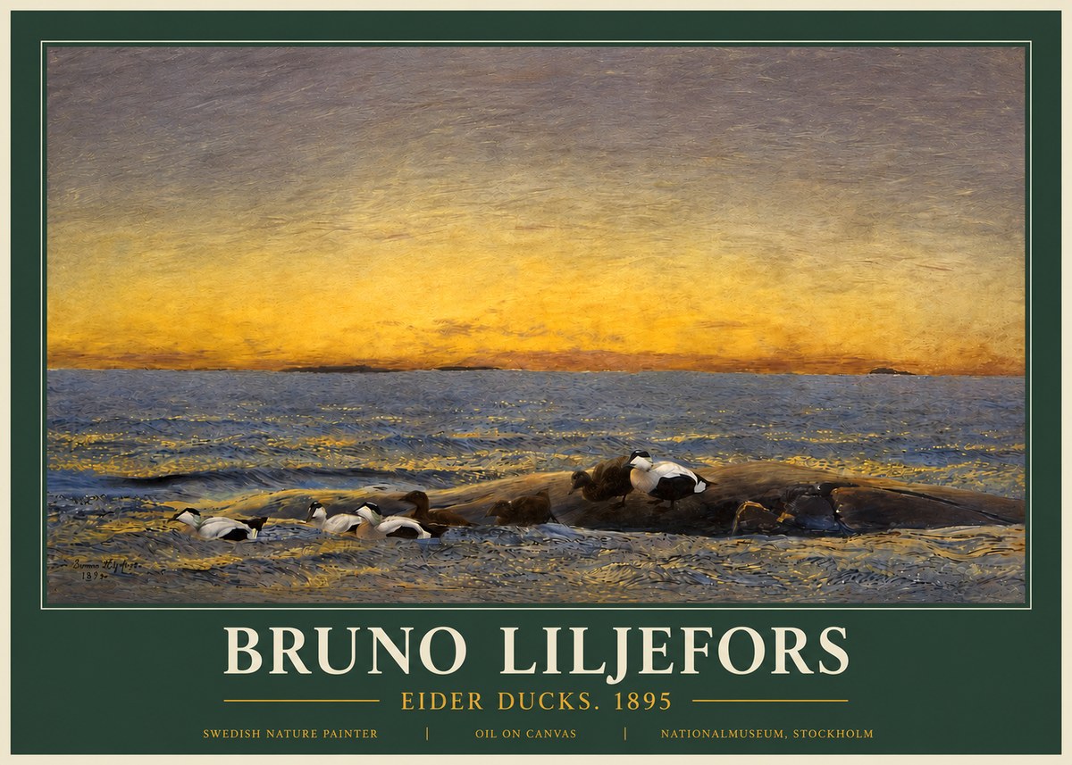 Bruno Liljefors Eider Ducks. 1895 No3 - Plakát