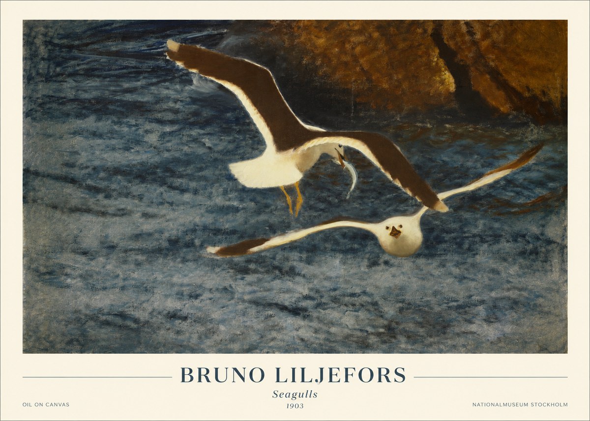 Bruno Liljefors Seagulls No1 - Plakát