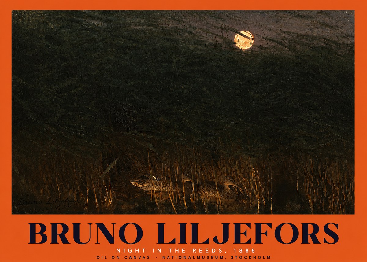 Bruno Liljefors Night in the Reeds No2 - Plakát