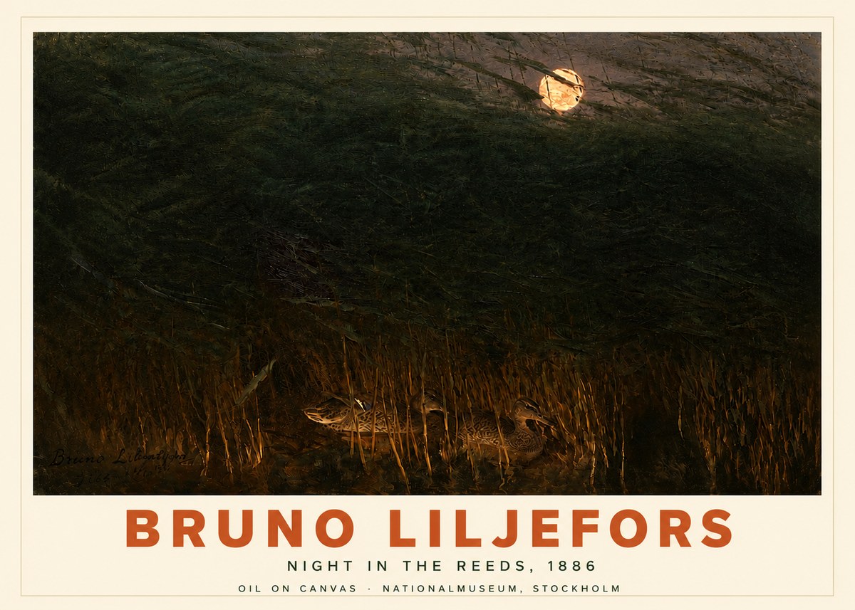 Bruno Liljefors Night in the Reeds No4 - Plakát
