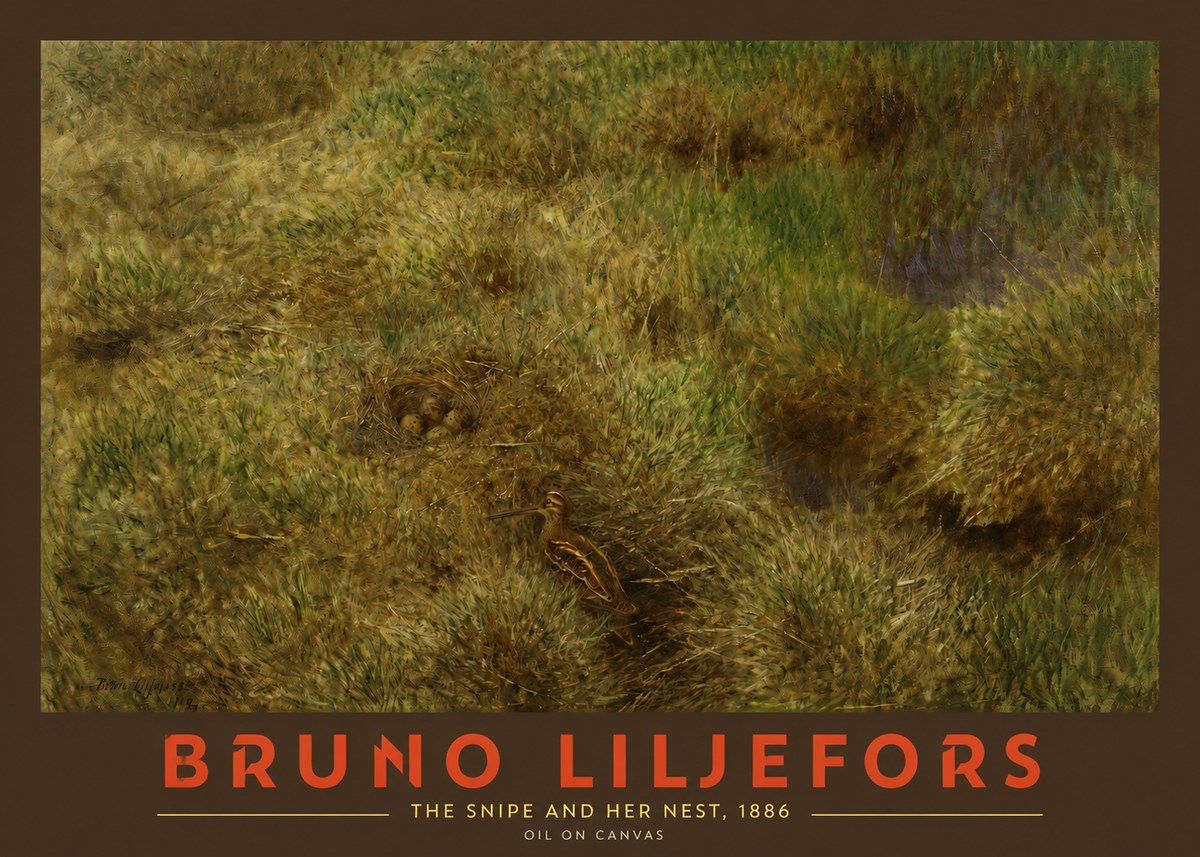 Bruno Liljefors The Snipe and Her Nest No2 - Plakát