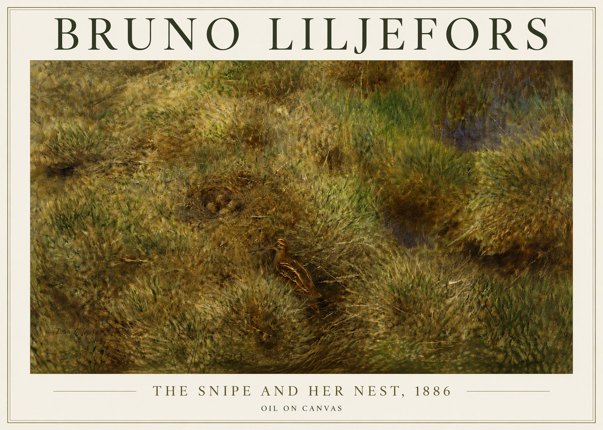 Bruno Liljefors The Snipe and Her Nest No5 - Plakát