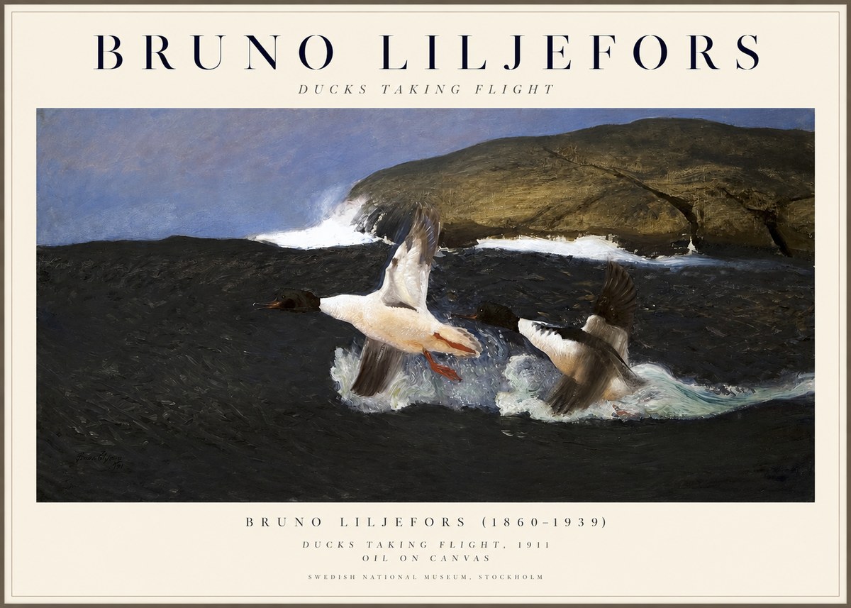 Bruno Liljefors Ducks Taking Flight No1 - Plakát