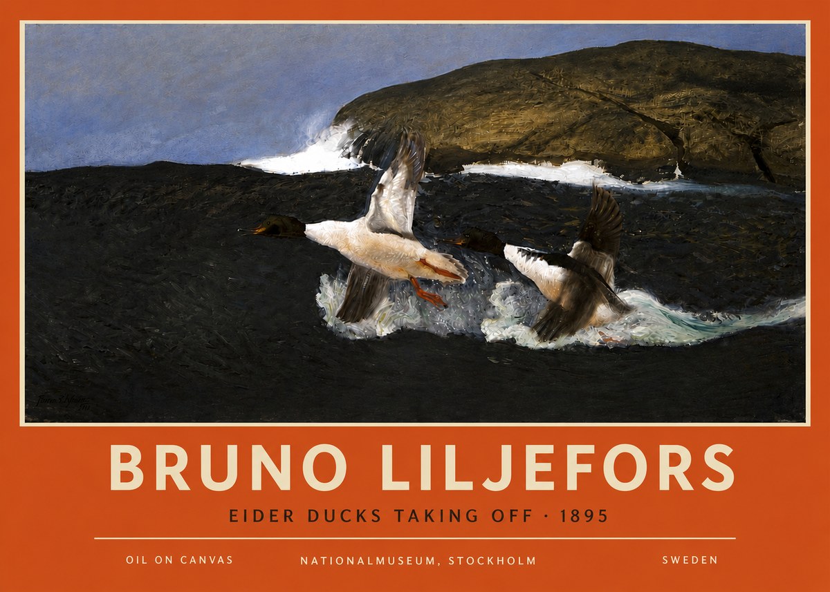 Bruno Liljefors Ducks Taking Flight No6 - Plakát