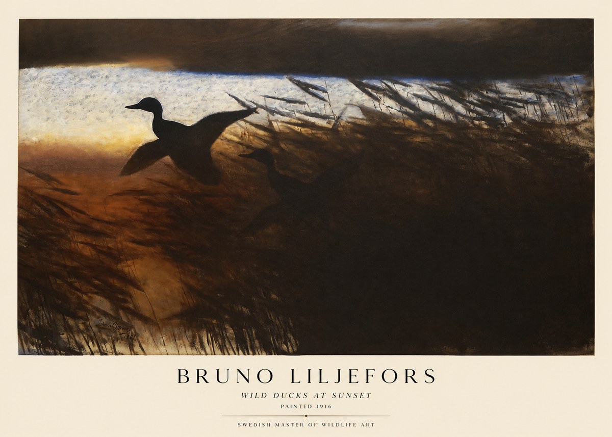 Bruno Liljefors Wild Ducks II No5 - Plakát