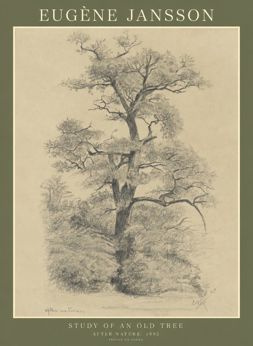 Eugène Jansson Study of an Old Tree No1 - Plakát