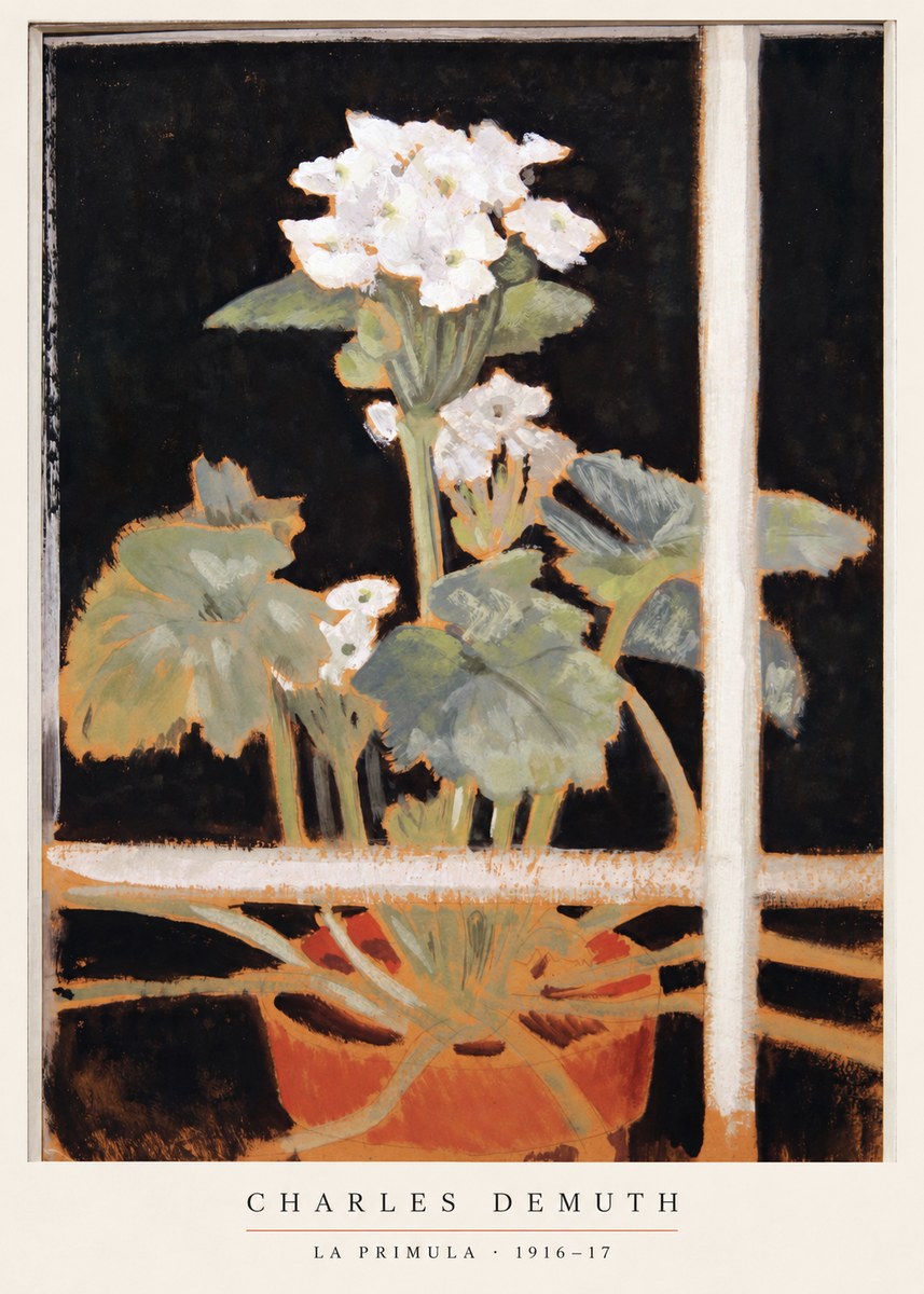 Charles Demuth La Primula No6 - Plakát
