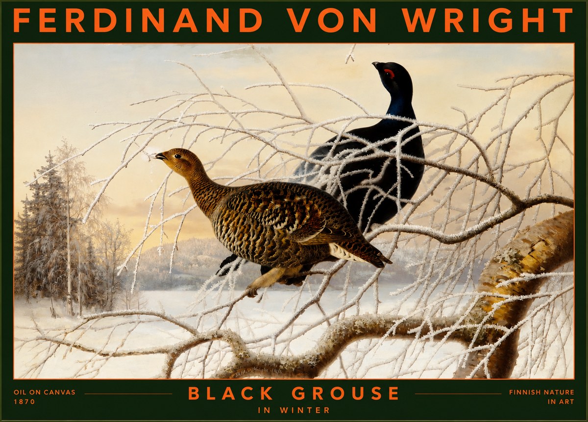 Ferdinand von Wright Black Grouse in Winter No2 - Plakát