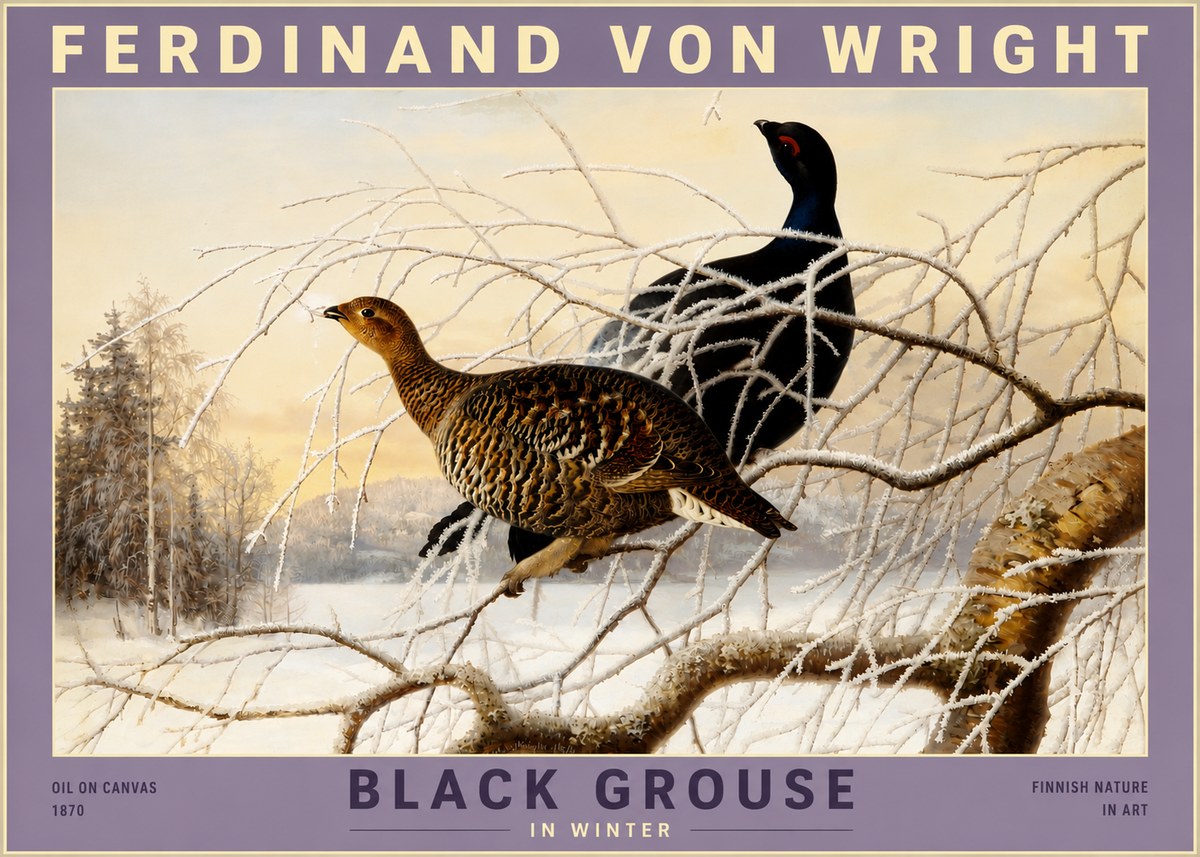 Ferdinand von Wright Black Grouse in Winter No3 - Plakát