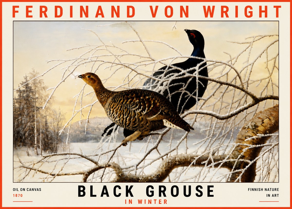 Ferdinand von Wright Black Grouse in Winter No5 - Plakát