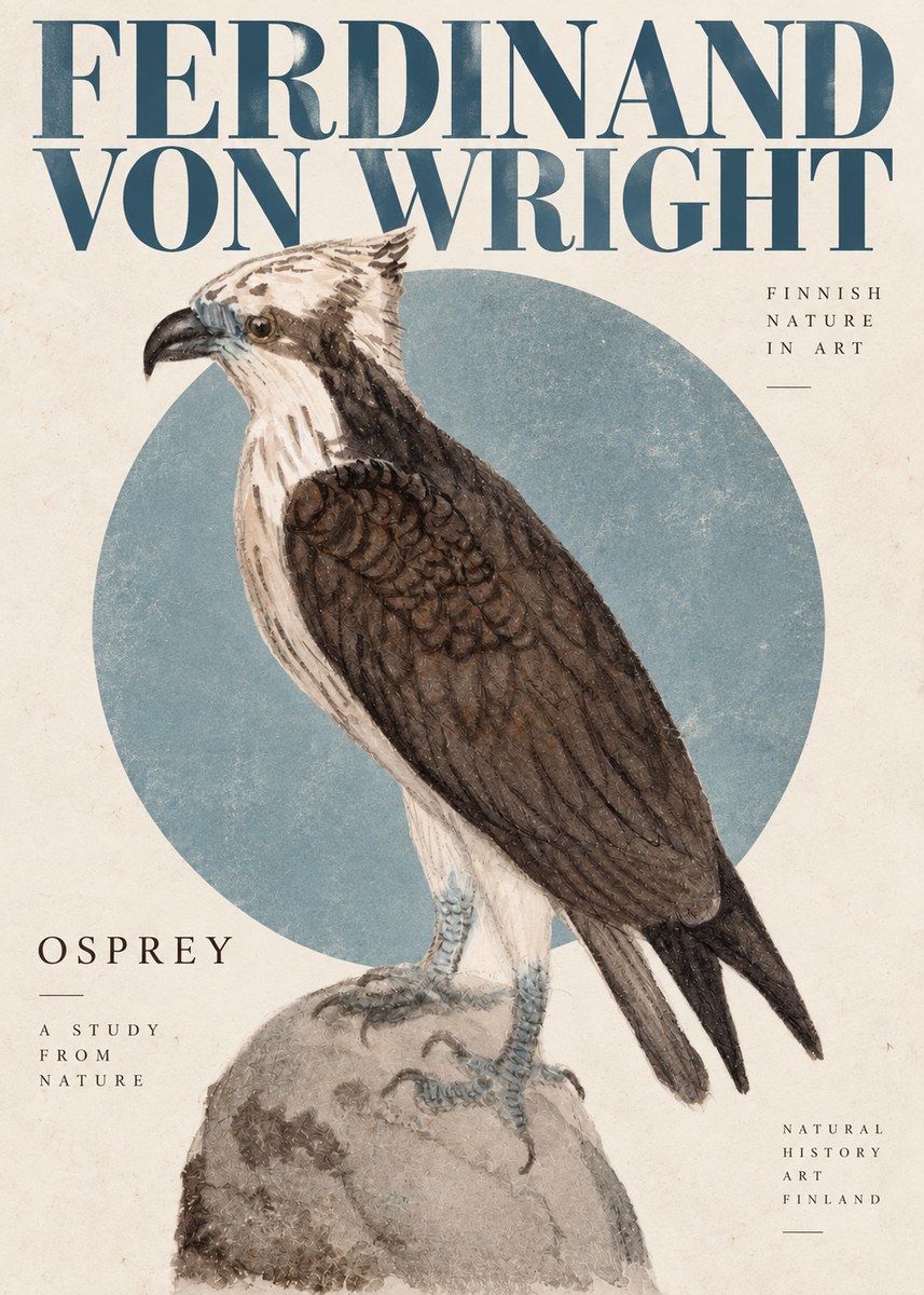 Ferdinand von Wright Osprey No4 - Plakát