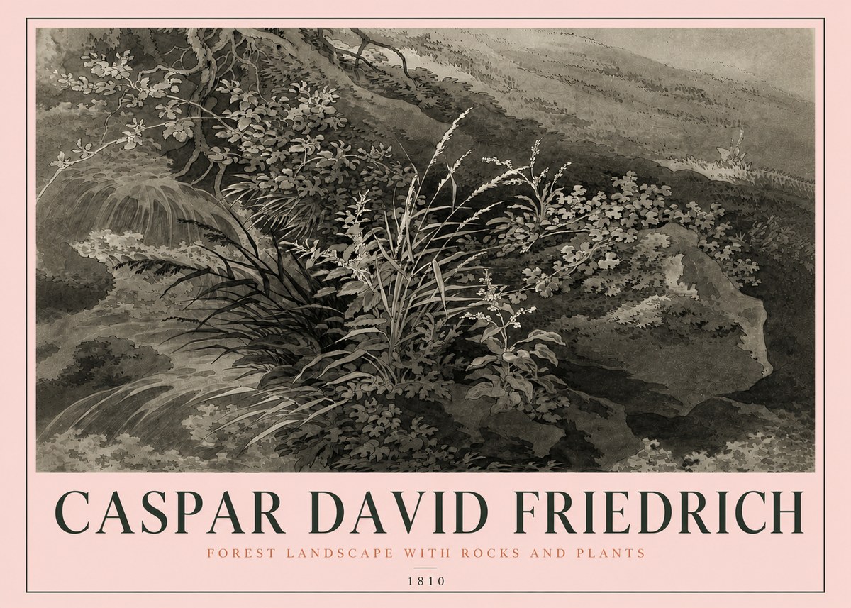 Caspar David Friedrich Forest Landscape with Rocks and Plants No4 - Plakát