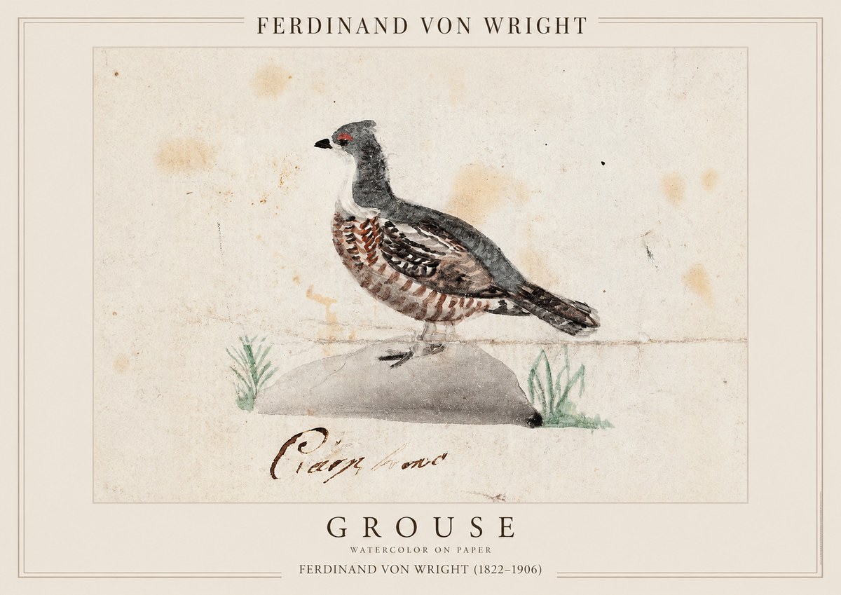 Ferdinand von Wright Grouse No1 - Plakát