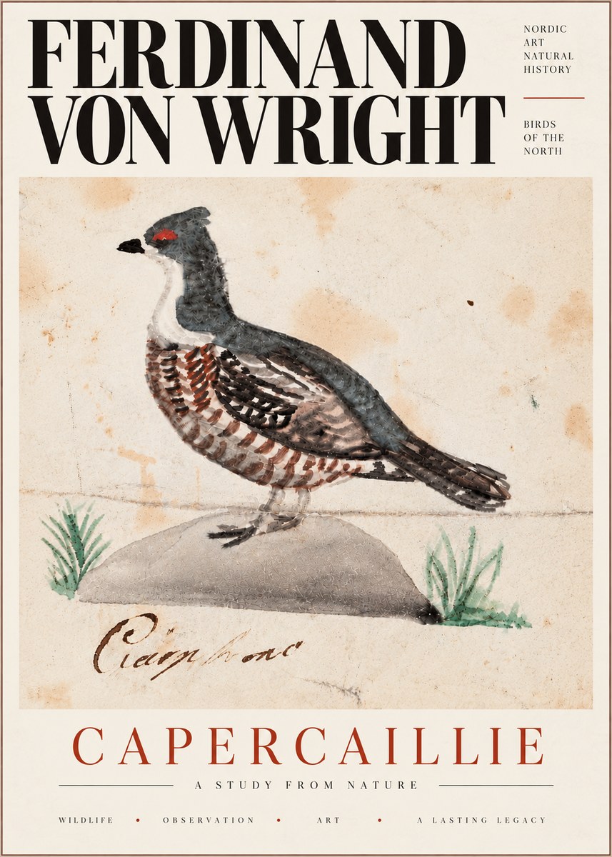 Ferdinand von Wright Grouse No6 - Plakát