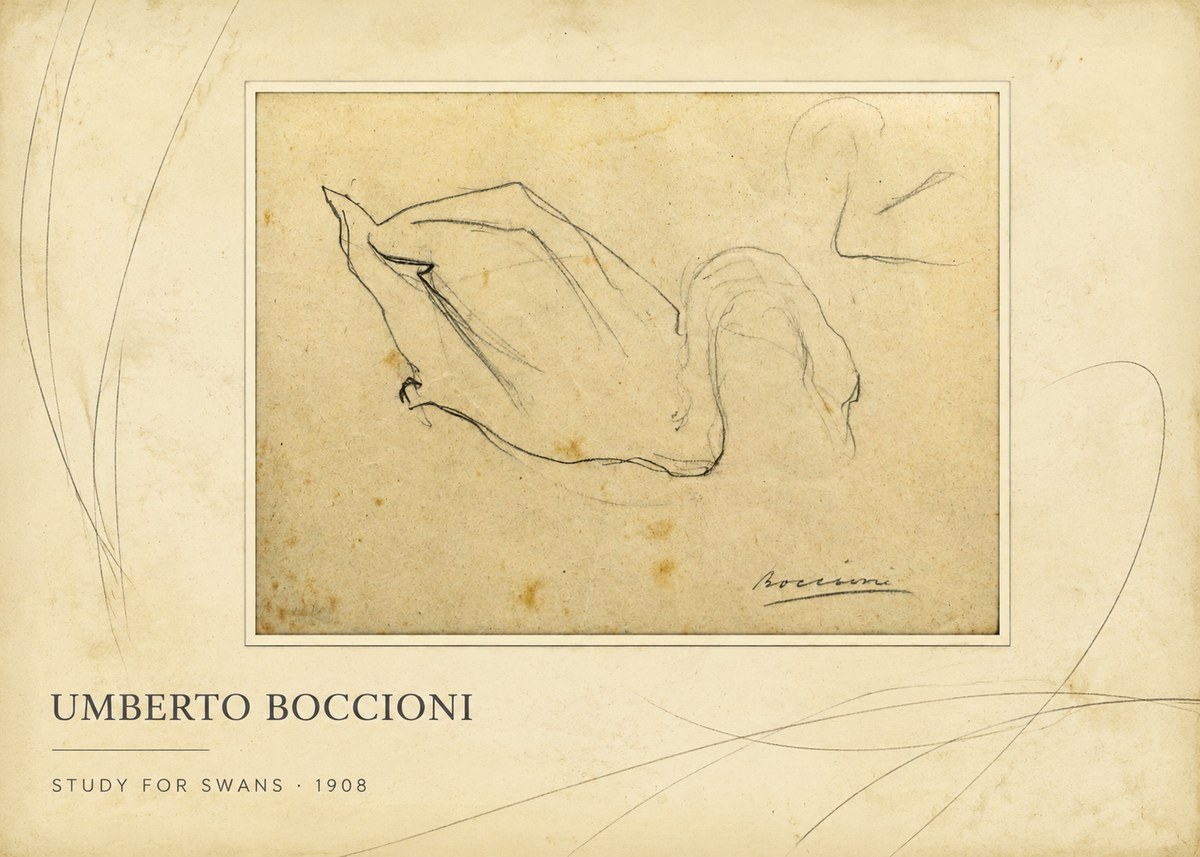 Umberto Boccioni Study for Swans No2 - Plakát